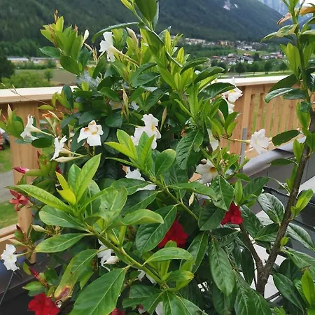 Ferienlandhaus Höfer Fulpmes